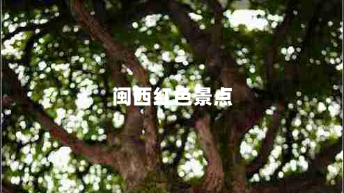 閩西紅色景點 閩西紅色景點