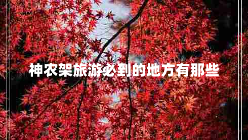 神農(nóng)架旅游必到的地方有那些 神農(nóng)架旅游必到的地方有那些