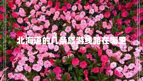 北海道的幾條旅游線路在哪里 北海道的幾條旅游線路在哪里