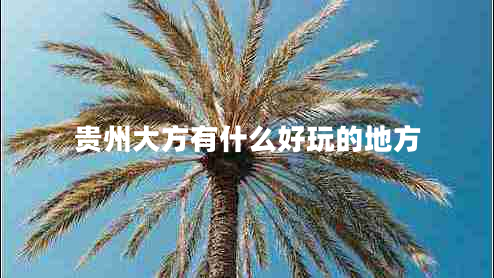 貴州大方有什么好玩的地方