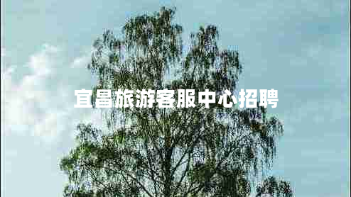 宜昌旅游客服中心招聘