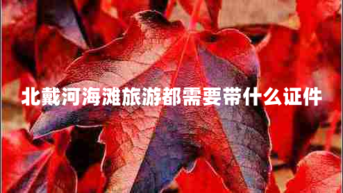 北戴河海灘旅游都需要帶什么證件 北戴河海灘旅游都需要帶什么證件