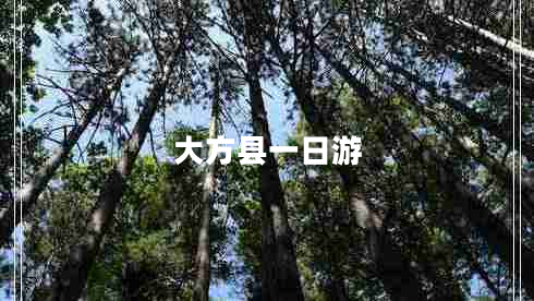 大方縣一日游 大方縣一日游