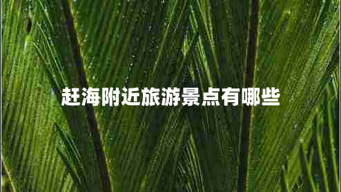 趕海附近旅游景點(diǎn)有哪些 趕海附近旅游景點(diǎn)有哪些