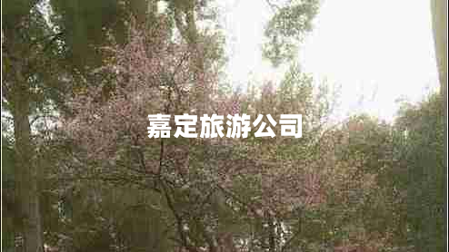 嘉定旅游公司 嘉定旅游公司