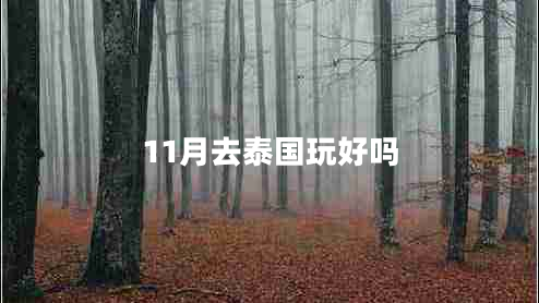 11月去泰國玩好嗎 11月去泰國玩好嗎