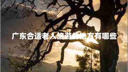 廣東合適老人旅游的地方有哪些