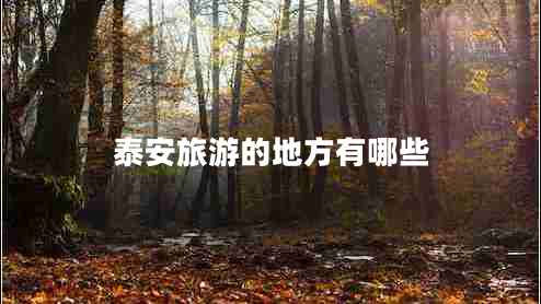 泰安旅游的地方有哪些 泰安旅游的地方有哪些