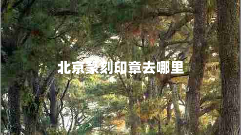 北京篆刻印章去哪里 北京篆刻印章去哪里