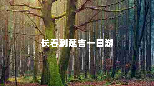 長春到延吉一日游