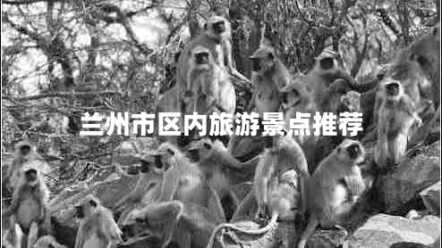 蘭州市區(qū)內(nèi)旅游景點(diǎn)推薦 蘭州市區(qū)內(nèi)旅游景點(diǎn)推薦