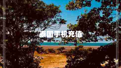 泰國(guó)手機(jī)充值