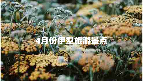 4月份伊犁旅游景點(diǎn)