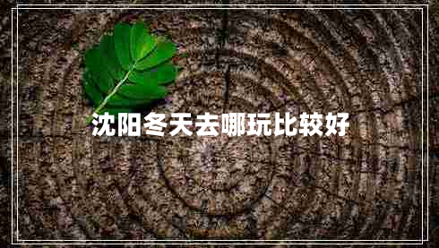 沈陽冬天去哪玩比較好 沈陽冬天去哪玩比較好