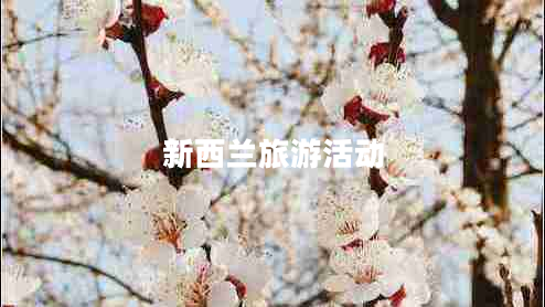 新西蘭旅游活動(dòng) 新西蘭旅游活動(dòng)