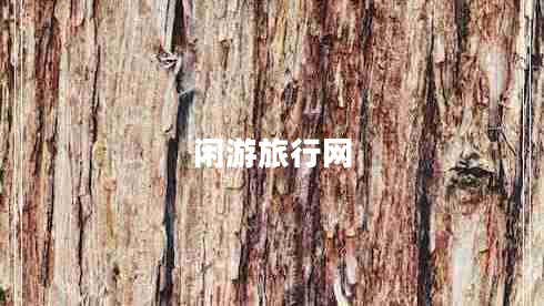 閑游旅行網(wǎng) 閑游旅行網(wǎng)