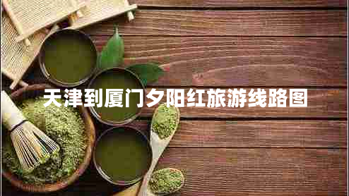 天津到廈門夕陽紅旅游線路圖 天津到廈門夕陽紅旅游線路圖