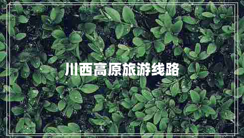 川西高原旅游線路 川西高原旅游線路