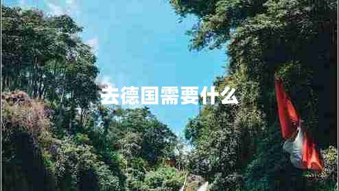 去德國(guó)需要什么