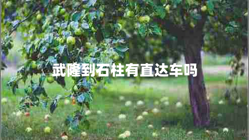 武隆到石柱有直達車嗎 武隆到石柱有直達車嗎