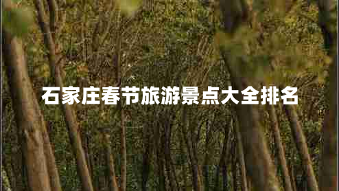 石家莊春節(jié)旅游景點大全排名 石家莊春節(jié)旅游景點大全排名
