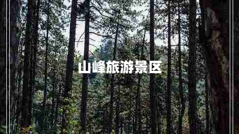 山峰旅游景區(qū) 山峰旅游景區(qū)