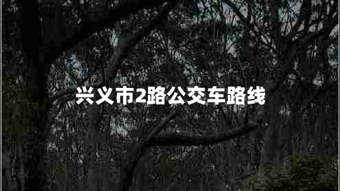 興義市2路公交車路線