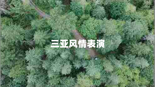 三亞風(fēng)情表演 三亞風(fēng)情表演