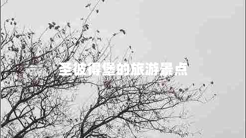 圣彼得堡的旅游景點(diǎn) 圣彼得堡的旅游景點(diǎn)