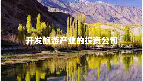 開發(fā)旅游產(chǎn)業(yè)的投資公司 開發(fā)旅游產(chǎn)業(yè)的投資公司