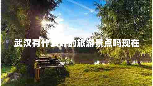 武漢有什么好的旅游景點(diǎn)嗎現(xiàn)在