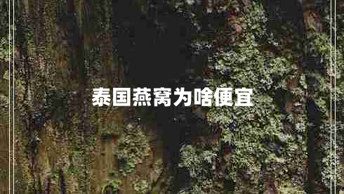 泰國燕窩為啥便宜