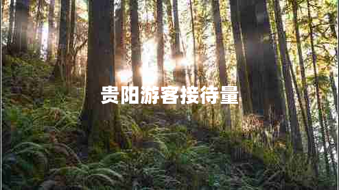 貴陽游客接待量