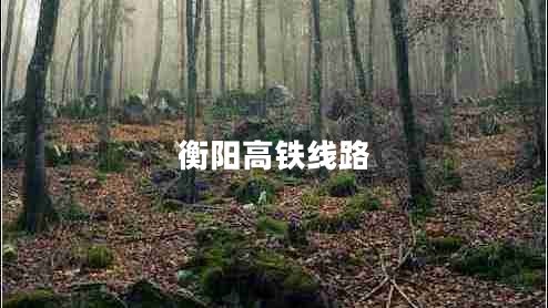 衡陽(yáng)高鐵線路 衡陽(yáng)高鐵線路