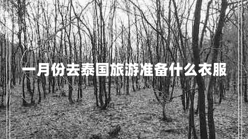 一月份去泰國旅游準備什么衣服