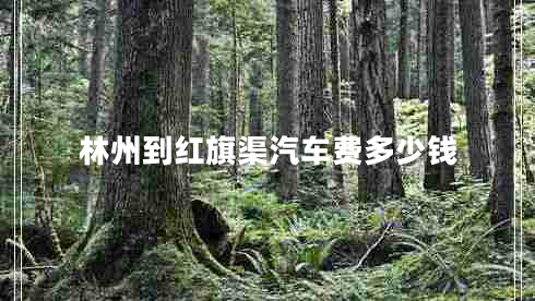 林州到紅旗渠汽車費多少錢