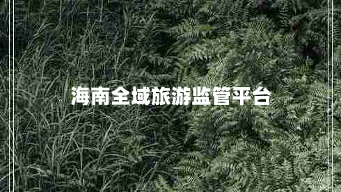 海南全域旅游監(jiān)管平臺(tái)