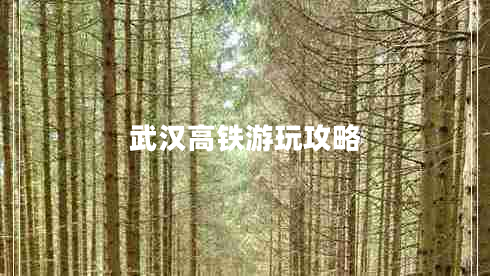武漢高鐵游玩攻略