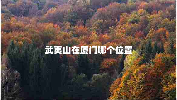 武夷山在廈門哪個(gè)位置