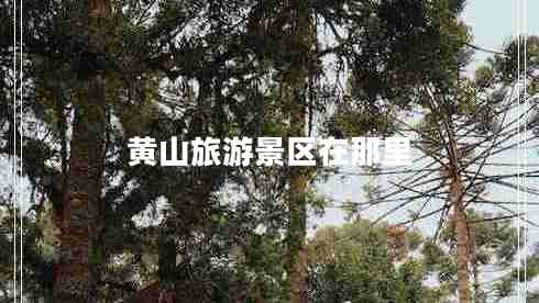 黃山旅游景區(qū)在那里 黃山旅游景區(qū)在那里