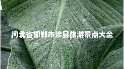 河北省邯鄲市涉縣旅游景點(diǎn)大全 河北省邯鄲市涉縣旅游景點(diǎn)大全