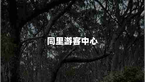 同里游客中心 同里游客中心