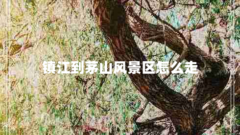 鎮(zhèn)江到茅山風(fēng)景區(qū)怎么走