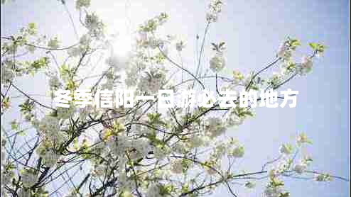 冬季信陽(yáng)一日游必去的地方