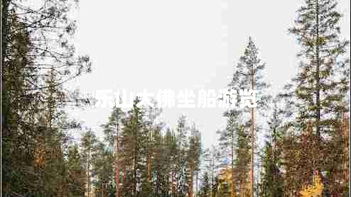 樂山大佛坐船游覽 樂山大佛坐船游覽