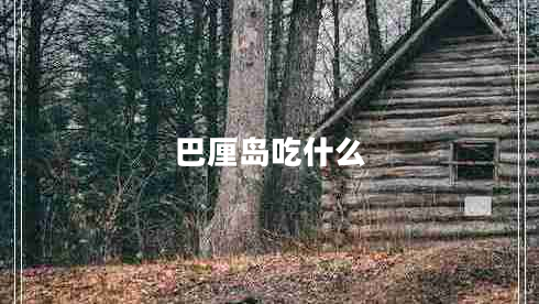 巴厘島吃什么 巴厘島吃什么