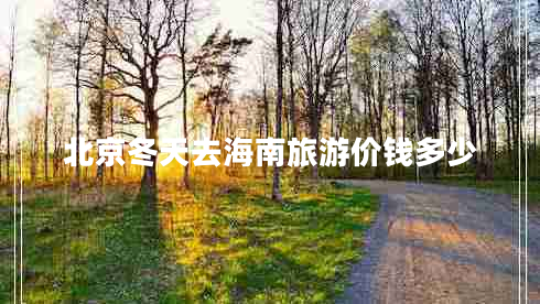 北京冬天去海南旅游價(jià)錢(qián)多少