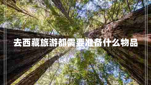 去西藏旅游都需要準(zhǔn)備什么物品 去西藏旅游都需要準(zhǔn)備什么物品