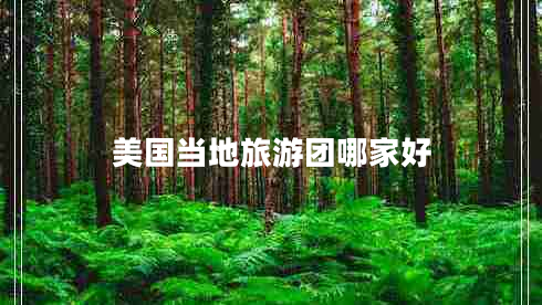 美國當(dāng)?shù)芈糜螆F(tuán)哪家好 美國當(dāng)?shù)芈糜螆F(tuán)哪家好