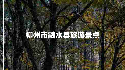 柳州市融水縣旅游景點(diǎn) 柳州市融水縣旅游景點(diǎn)